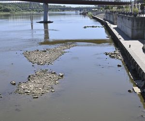 Niski stan wody w Wiśle