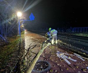Deszcz, silny wiatr oraz burze w Siedlcach i regionie