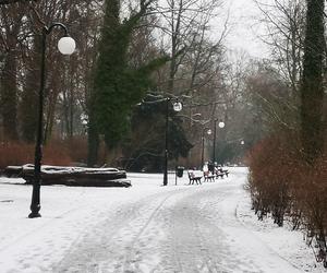 Sprawdzają, czy lampy w poznańskich parkach działają prawidłowo! Dlaczego?