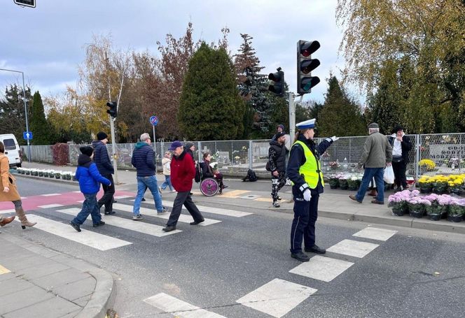 Akcja policji trwała od 31 października do 4 listopada