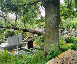 Burze nad województwem łódzkim. Strażacy interweniowali blisko 240 razy
