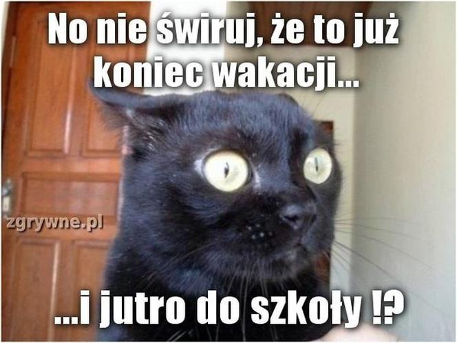 Najlepszy z okazji zakończenia wakacji i początku roku szkolnego!