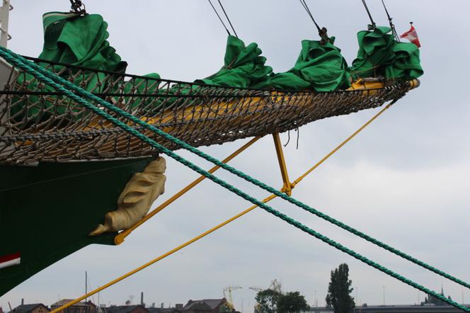 Alexander von Humboldt II
