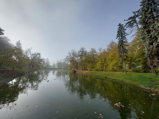 Zamojski Park jesienią