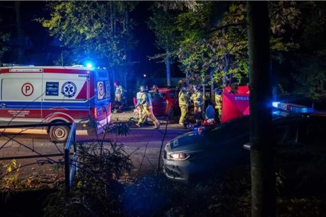 Małopolska. SZEŚCIORO nastolatków w osobowym audi! Smochód wbił się w drzewo