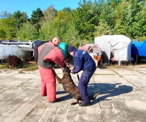 ćwiczenia nad Zalewem Sulejowskim
