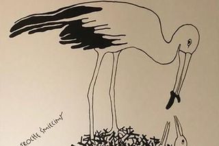 Ekspozycja „Mówię do Ciebie” – plakaty Danuty Żukowskiej w Bibliotece Pedagogicznej w Siedlcach