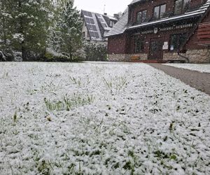 Śnieżyca w Małopolsce. Atak zimy w połowie maja!