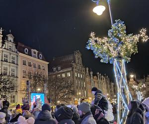 Gdańska choinka rozbłysła. Zobaczcie nasze zdjęcia!