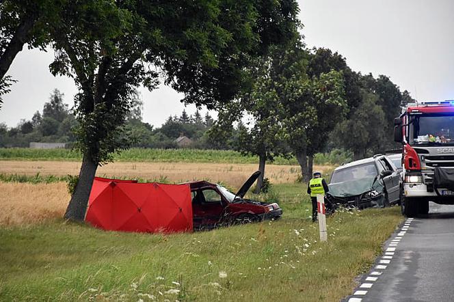 Dzieci jechały autem, zginęła 14-latka! MAKABRYCZNY wypadek na Lubelszczyźnie