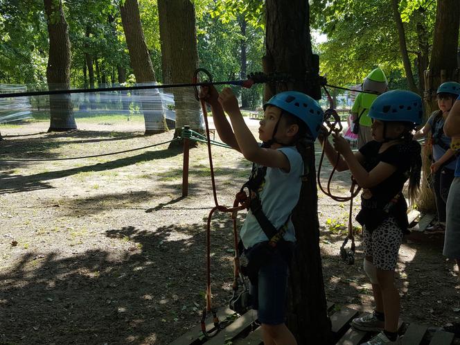 Nowy właściciel myśli o nowych atrakcjach w Parku Linowym "Tarzan" w Lesznie