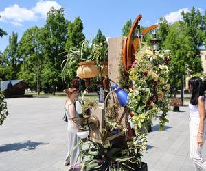 Weekend z florystyką w Lublinie. Zobacz imponujące roślinne instalacje w centrum miasta!