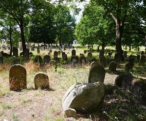 Zabytkowy cmentarz żydowski z XIX wieku w Białymstoku. Ostatnia taka ocalała nekropolia w mieście