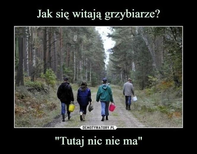 Grzybobranie 2023. Zobaczcie najlepsze memy o grzybiarzach! 