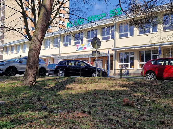 Historia wśród drzew! Tak żyje się na osiedlu Leśnym w Bydgoszczy