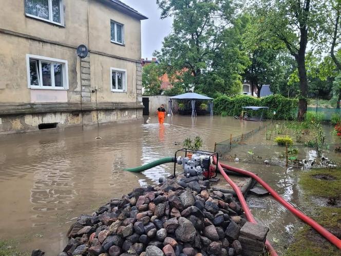 Niemal 5 tys. osób bez prądu. Trwa usuwanie skutków burz, które przeszły nad regionem