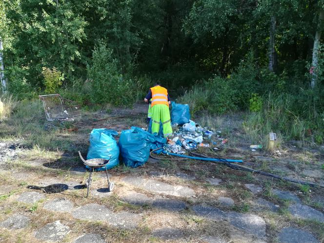 Sprzątanie dawnej plaży Mieleńskiej