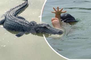 Krokodyl znalazł zwłoki 4-latka i przyniósł je ratownikom. Maluch utonął dwa dni wcześniej