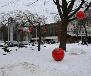 NA UMCS-ie w Lublinie zrobiło się świątecznie! 