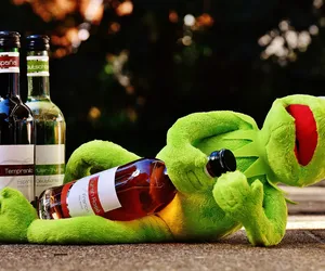 Impreza była tak gruba, że nawet w powietrzu był alkohol. Tak się bawią studenci w USA
