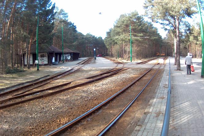 Tramwaje wracają do pętli Las Gdański