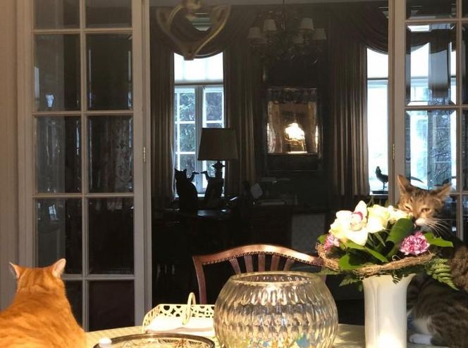 Dom Krystyny Jandy w Milanówku