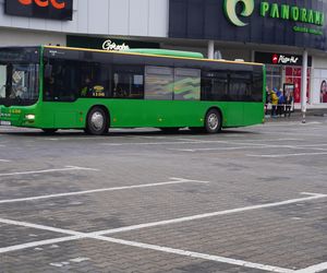 Katarzynki 2024 - wystawa autobusów przy Galerii Panorama