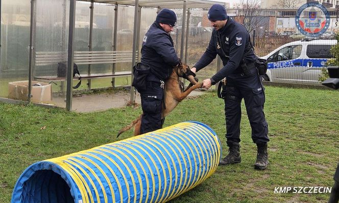 Nowe psy w zachodniopomorskiej policji