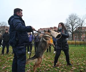 Trening psów ze studentami