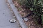 Zabójstwo na kampusie UW. Policja opublikowała wstrząsające nagranie. Pokazali wszystko