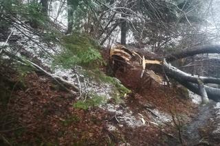 Wypadek w Sopotni Małej