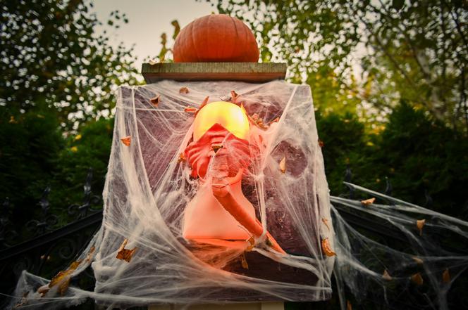 Gdańsk: Dom jak z horroru. Udekorowali budynek na helloween [ZDJĘCIA]