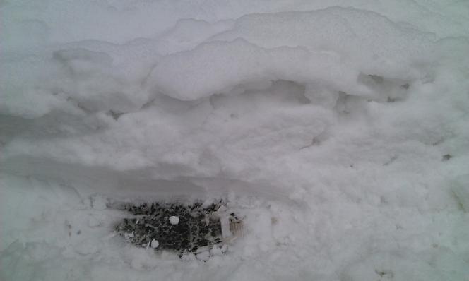 Nagły atak zimy w Wielkanoc. Spadło nawet 40 cm śniegu