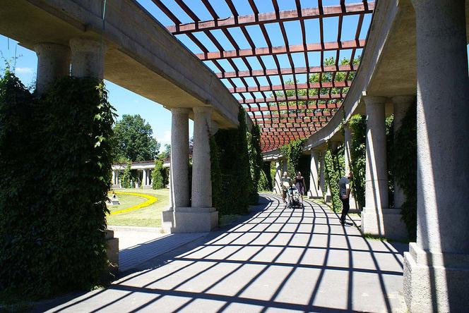Wrocławska Pergola
