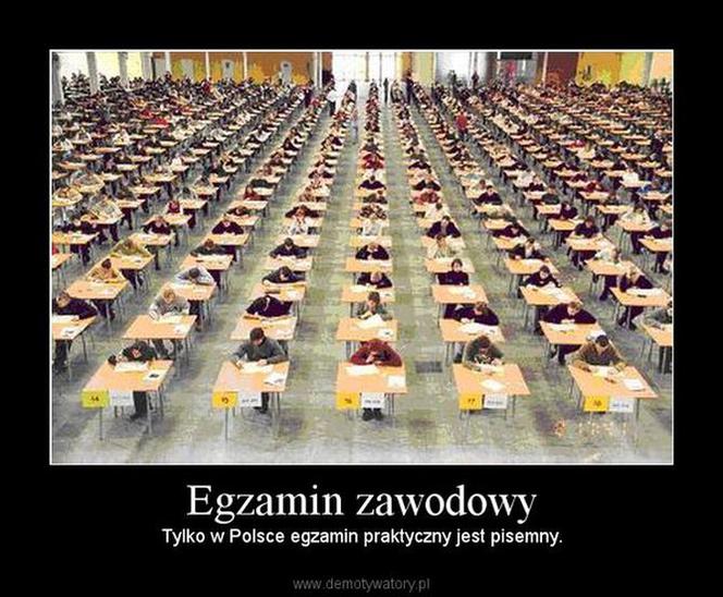 Egzamin zawodowy 2020: MEMY o egzaminie potwierdzającym kwalifikacje zawodowe [ZDJĘCIA]