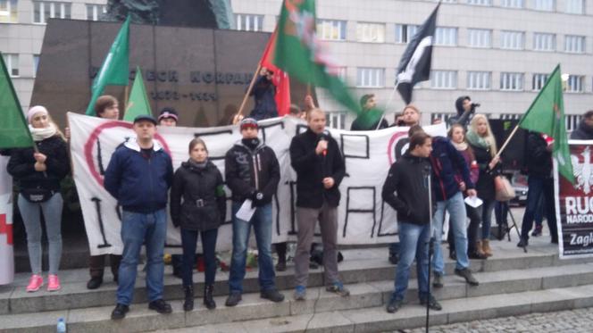 Katowice: Demonstracja Młodzieży Wszechpolskiej na placu Sejmu Śląskiego [ZDJĘCIA, WIDEO, SONDA]