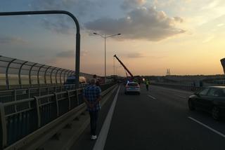 Wypadek ciężarówki ze zbożem na Autostradowej Obwodnicy Wrocławia. Samochód uderzył w bariery [ZDJĘCIA]