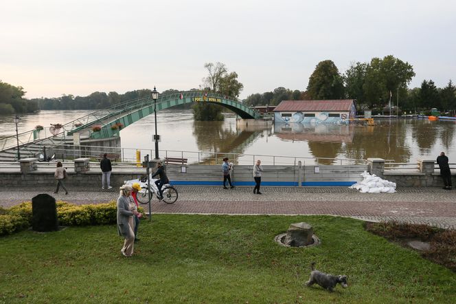 Nowa Sól - stan Odry na 23 września