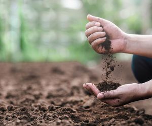 Ceny ziemi ogrodowej w Polsce 2025 – ile kosztuje gleba do ogrodu?