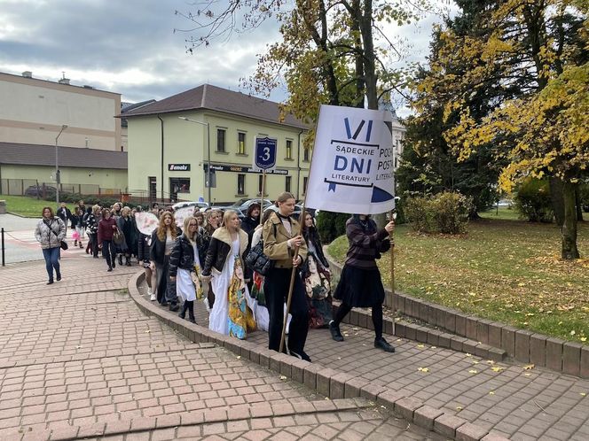 Pochód Postaci Literackich