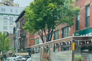 Restaurację nie oddadzą parkingów