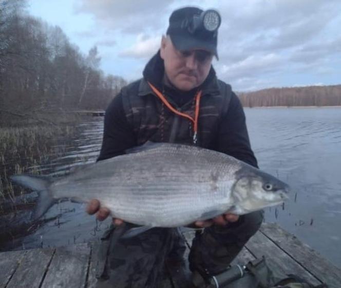 Ten wędkarz to nie leszcz. W Jeziorze Miłoszewskim złowił ogromną rybę! "Nieoficjalny rekord Polski" [ZDJĘCIA]