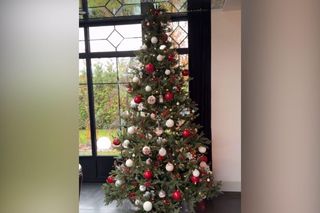 Deynn i Daniel Majewscy