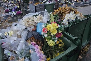 Kwiaty, które jako pierwsze trzeba wyrzucić z cmentarzy.