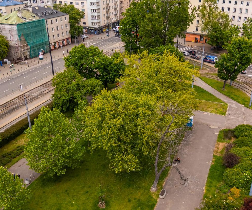 Plac Narutowicza w Warszawie