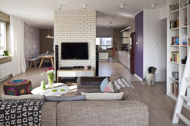 Neutralny kolor podłogi sprawdzi się w mieszkaniu z psem