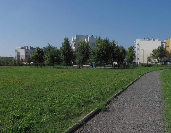 To miejsce za pół roku będzie wyglądało inaczej. Miasto przygotowuje Park Centralny na Felinie