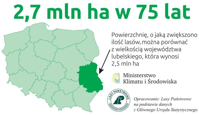 Będą nowe lasy wykres
