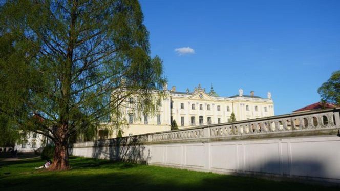 Gdzie w Białymstoku poczuć prawdziwą jesień? AI podpowiada idealne miejsca na spacer
