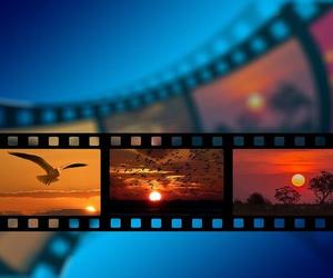  Książnica Zamojska zaprasza seniorów do kina. Pierwsza projekcja filmu już za nami